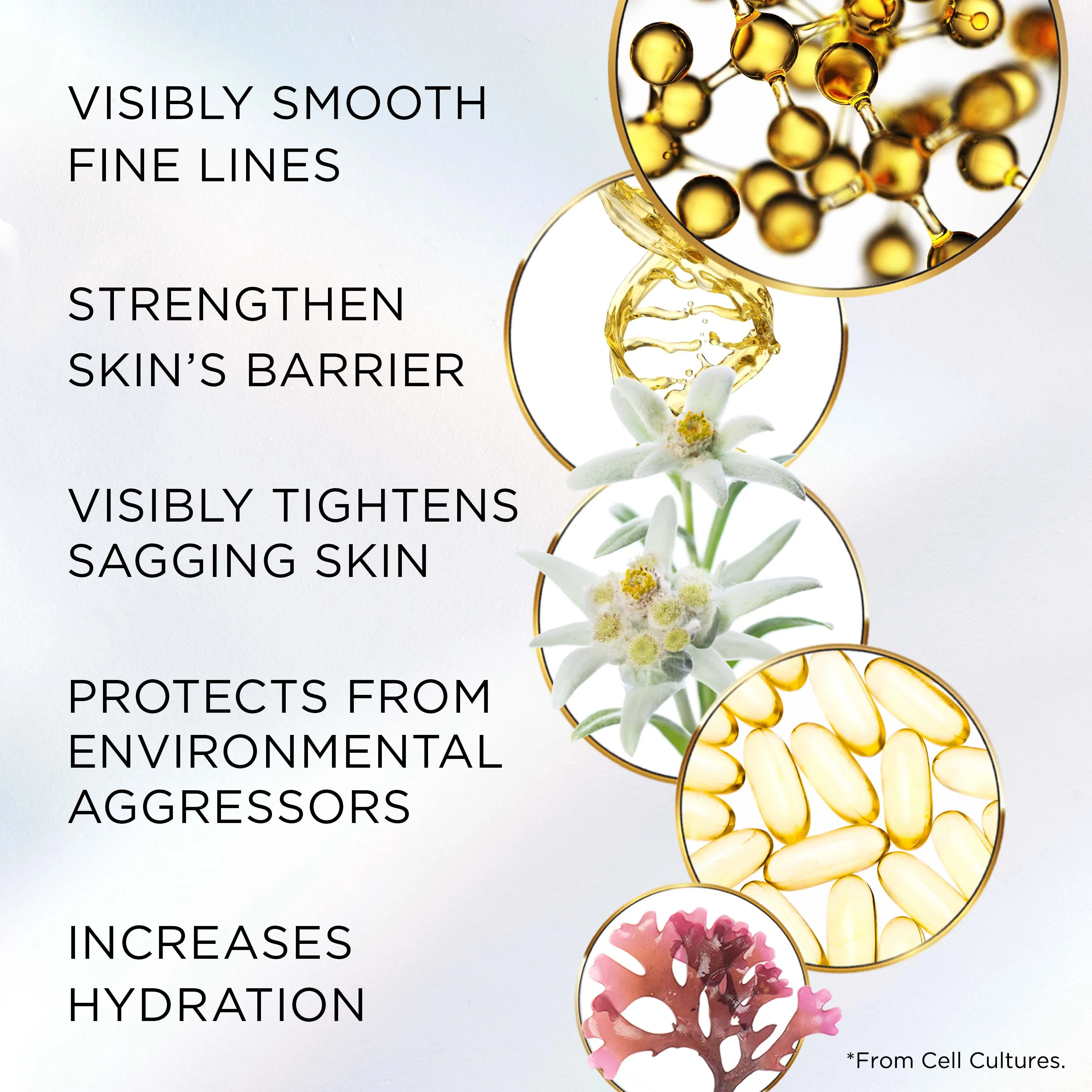 Advanced Ceramide Lift and Firm Night Cream