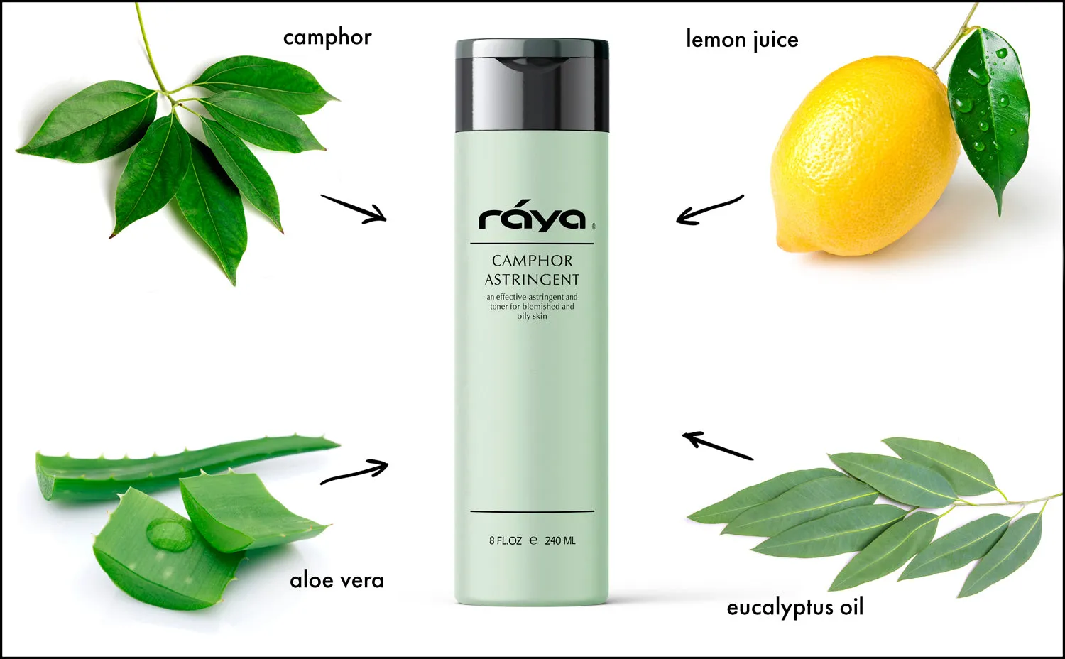 CAMPHOR ASTRINGENT (204) RAYA SPA