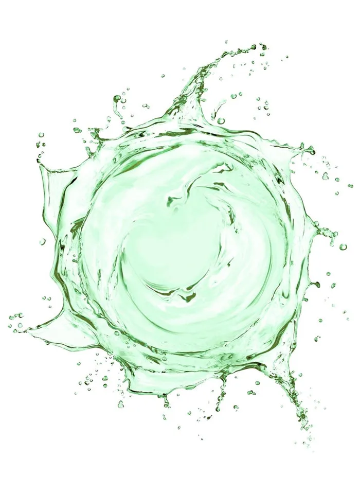 CAMPHOR ASTRINGENT (204) RAYA SPA