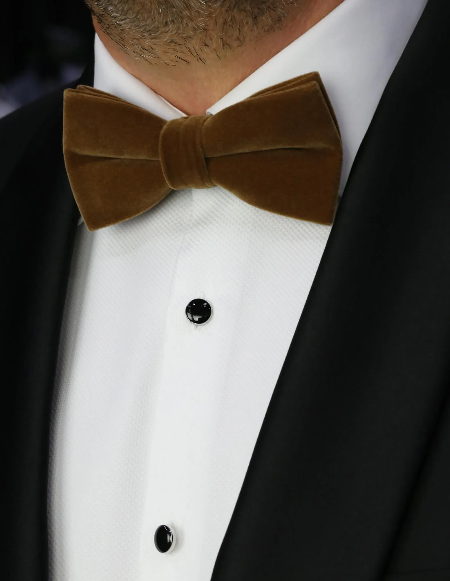 DCLIC Velvet Club Bow Tie - Latte