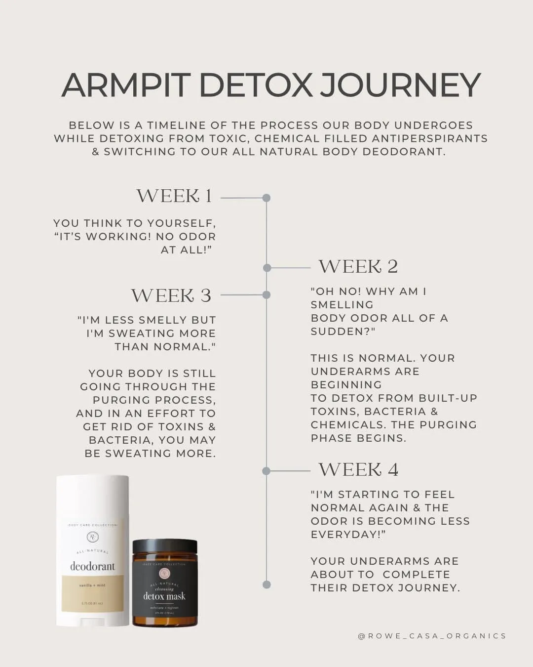 DETOX MASK | 4 oz