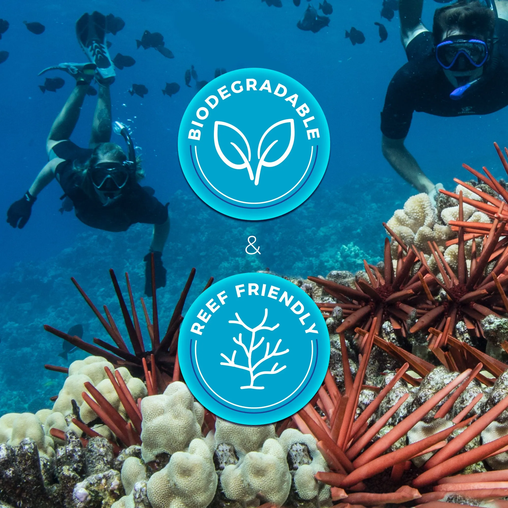 Ocean Kiss Reef Safe Anti Jellyfish Sting Protection Sunscreen SPF 30 / 50