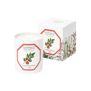 Scented Candle in Tomato